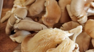 İstiridye mantarı, yakın plan, masanın üstünde.