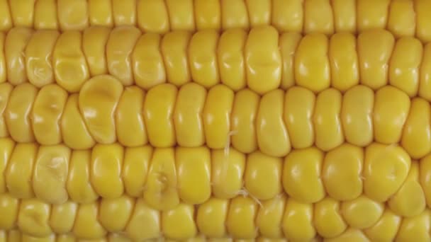 Kukorica Cob Főtt Közelről — Stock videók