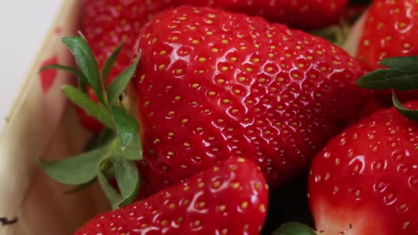 Mehrere Erdbeeren Nahaufnahme Einem Tablett — Stockvideo