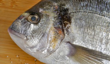 Tüm çipura, yakın plan, kesme tahtasında.