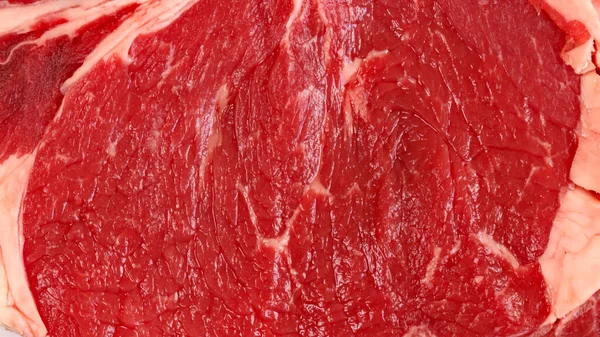 Close Bife Carne Crua — Fotografia de Stock