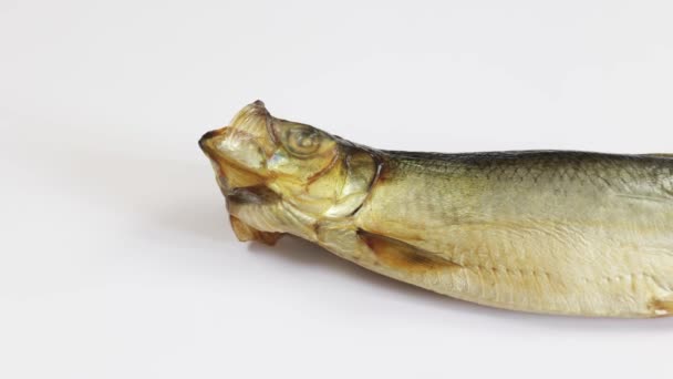 Geschwollener Fisch Nahaufnahme Isoliert Auf Weißem Hintergrund — Stockvideo