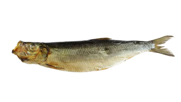Wędzona Ryba Opuchnięta Zbliżenie Odizolowana Białym Tle — Zdjęcie stockowe