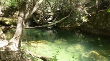 Provence 'deki şelale. Şelale turkuaz ve zümrüt renkli havuzlara akar. Sonra su küçük havuzlara akar ve küçük şelaleler oluşturur..