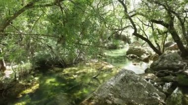 Provence 'deki şelale. Şelale turkuaz ve zümrüt renkli havuzlara akar. Sonra su küçük havuzlara akar ve küçük şelaleler oluşturur..