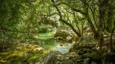 Provence 'deki şelale. Şelale turkuaz ve zümrüt renkli havuzlara akar. Sonra su küçük havuzlara akar ve küçük şelaleler oluşturur..