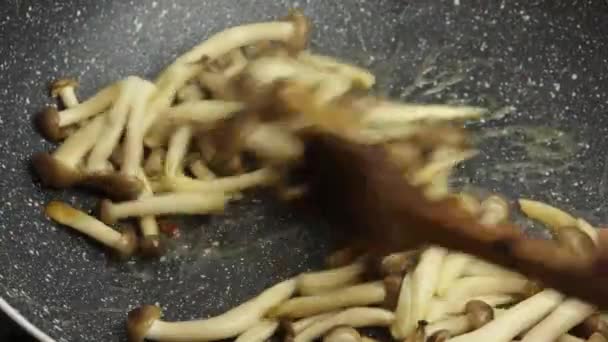Gruppe Von Himeji Braunen Buna Pilzen Die Einer Pfanne Kochen — Stockvideo