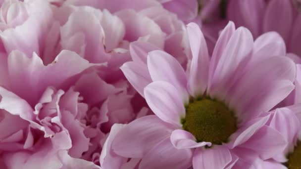 一束漂亮的粉红花朵凑在一起了 — 图库视频影像