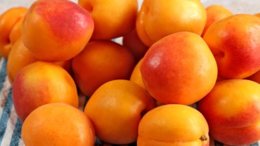 Birkaç kayısıya yakın çekim