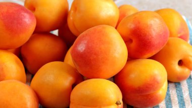 Birkaç kayısıya yakın çekim