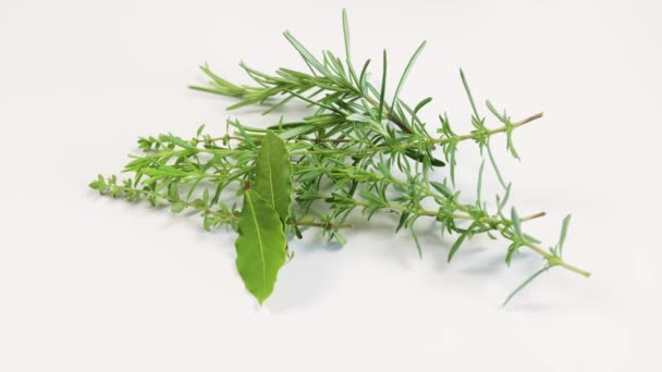 Aromatic Herbs Isolated White Background — Stock Video