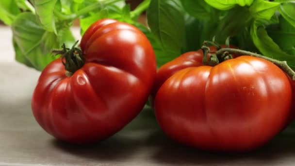 Tomater Och Basilika Närbild — Stockvideo