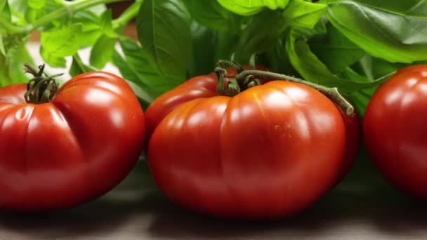 Tomaten Und Basilikum Nahaufnahme — Stockvideo