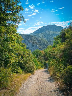 Fransa 'nın güneyindeki çalılıklarda küçük bir patika.