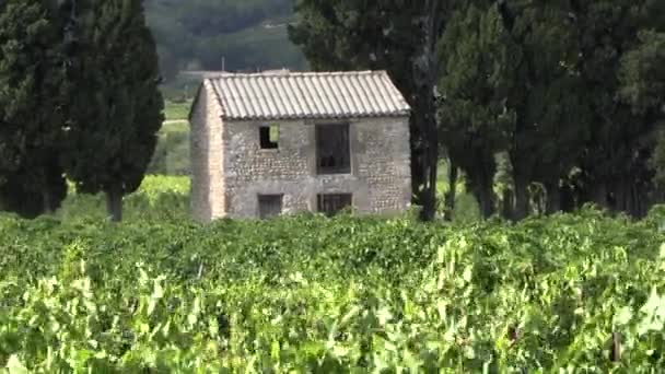 Kleines Haus Einem Weinberg Vaucluse Frankreich — Stockvideo