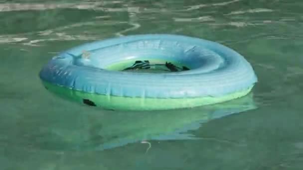 儿童在游泳池水面上漂浮的充气浮标 — 图库视频影像