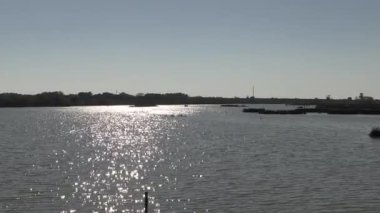 Camargue 'deki Saint-Laurent-d' Aigouze kasabası yakınlarındaki gölet manzarası (Occitanie, Fransa)