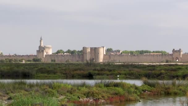 Aigues Mortes市的塔和城墙 — 图库视频影像