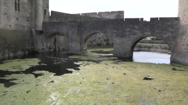 Camargue区Aigues Mortes镇的防御工事 — 图库视频影像