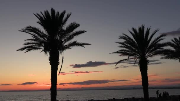 Palmen Und Sonnenuntergang Mit Orangefarbenem Himmel Strand — Stockvideo