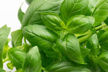 Fesleğenin beyaz arkaplanda yakın plan görüntüsü