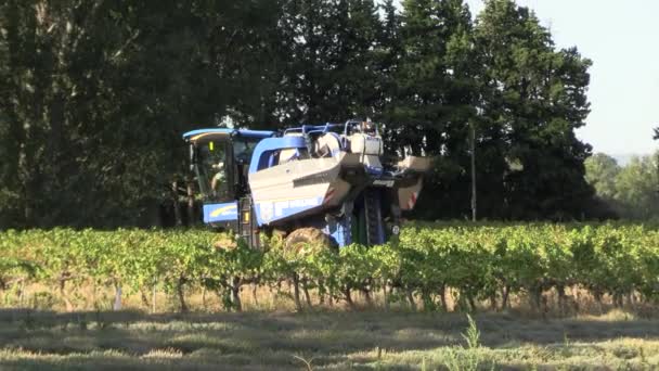 Orange Vaucluse Fransa Yakınlarında 10082023 New Holland Marka Şarap Traktörü — Stok video