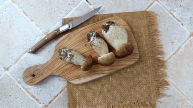 Bordeaux Porcini mantarları yakın plan.