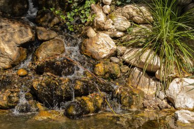 Kayalar boyunca akan bir dere manzarası