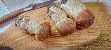 Birkaç taze Bordeaux Porcini mantarı, yakın plan, bir masanın üzerinde.