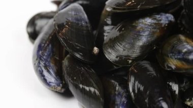 Ham midye yığını, yakın plan, beyaz arka planda izole edilmiş.