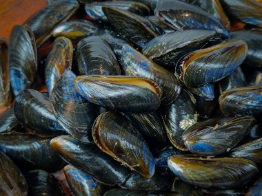 Ham midye yığını, yakın plan.