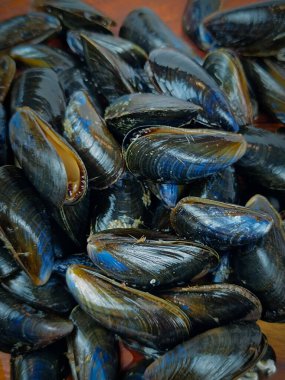 Ham midye yığını, yakın plan.