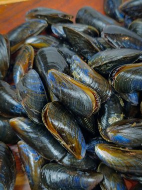 Ham midye yığını, yakın plan.