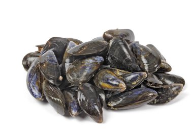 Ham midye yığını, yakın plan, beyaz arka planda izole edilmiş.