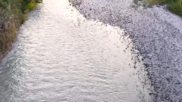 一条河的近景 — 图库视频影像