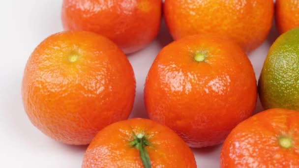 Verschillende Clementines Close Geïsoleerd Een Witte Achtergrond — Stockvideo