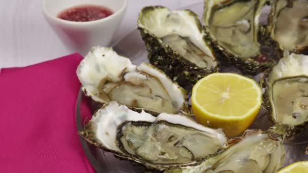 Platter Opened Oysters Close — Stock Video