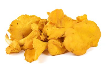 Beyaz bir arka planda izole edilmiş, yakın plan birkaç Chanterelle.