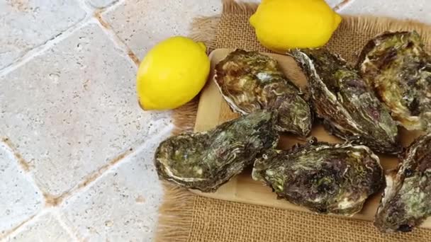 Mehrere Austern Nahaufnahme Auf Einem Tisch — Stockvideo