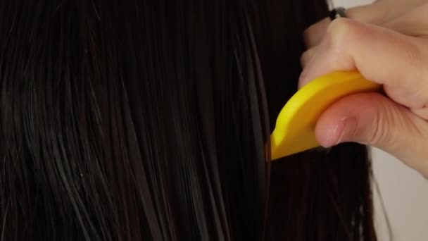 Жінка Біжить Вошей Гребінцем Через Волосся — стокове відео