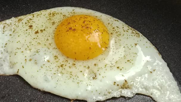 Жареное Яйцо Крупным Планом Сковородке — стоковое видео
