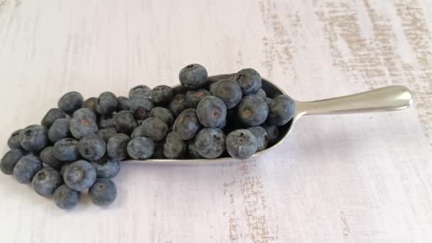 一堆新鲜的蓝莓 — 图库视频影像