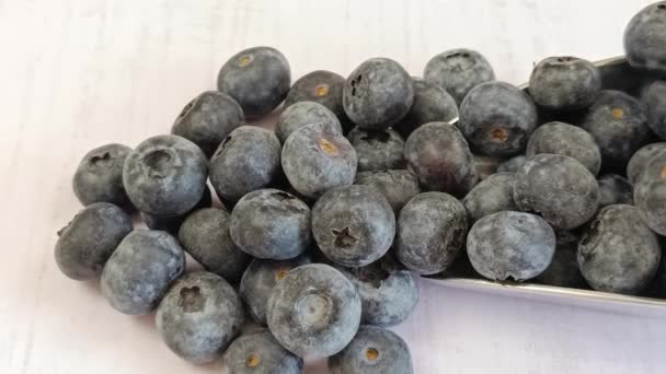 Pile Fresh Blueberries Close — Stock Video
