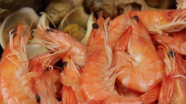 Karidesler ve enikler, yaklaşın.