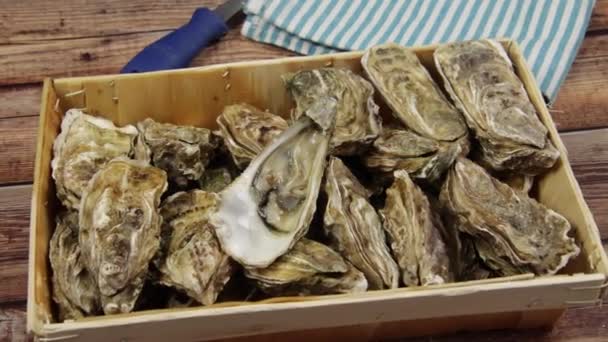 Korb Mit Austern Nahaufnahme Auf Einem Tisch — Stockvideo