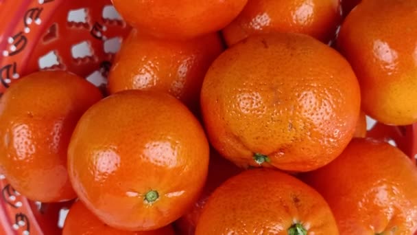 Flera Mandariner Närbild Skål — Stockvideo