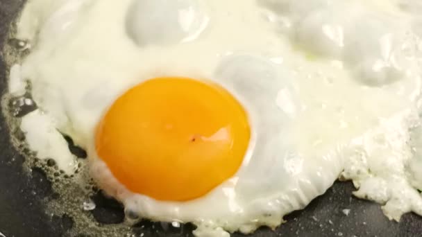 Vaření Smažených Vajec Detailní Záběr Pánvi — Stock video