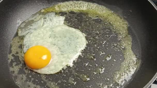 揚げた卵 クローズアップ フライパンで調理する — ストック動画