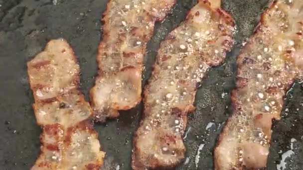 Skivor Bacon Matlagning Kastrull Närbild — Stockvideo