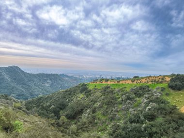 Hollywood Hills 'in Panorama' sı, Los Angeles, California, ABD